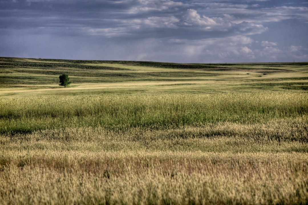 Eastern Colorado Plains near Fort Collins