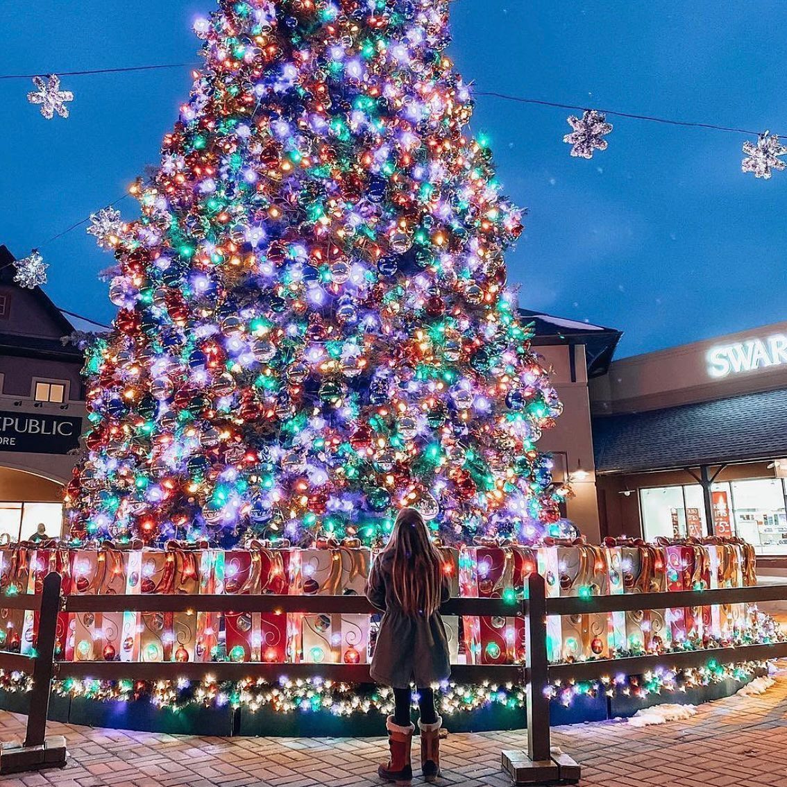 Large christmas tree lit up with someone standing in front of it.