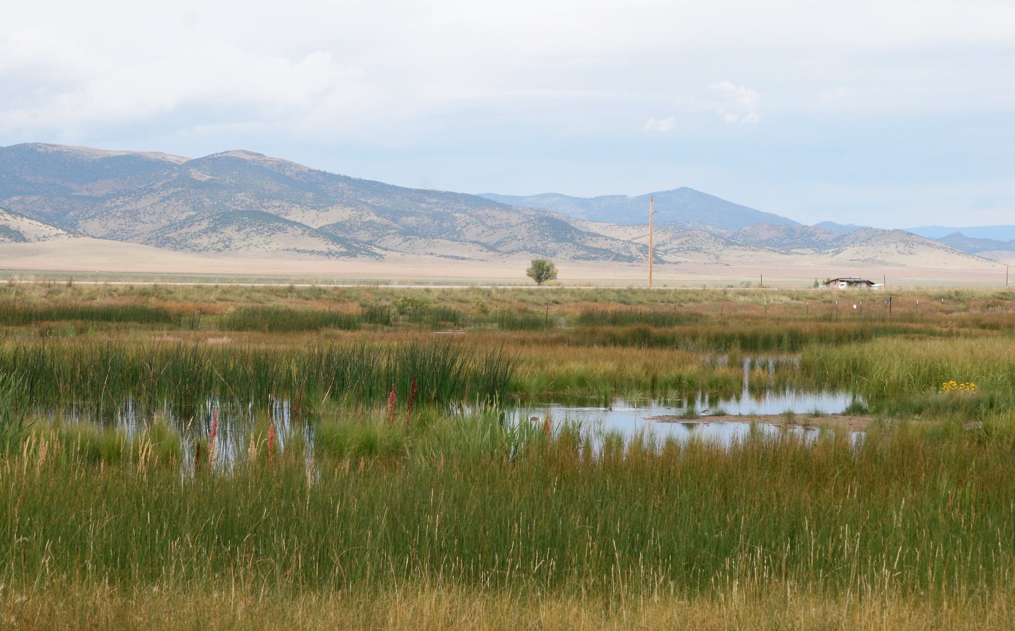 Marshy land with mountains in the background