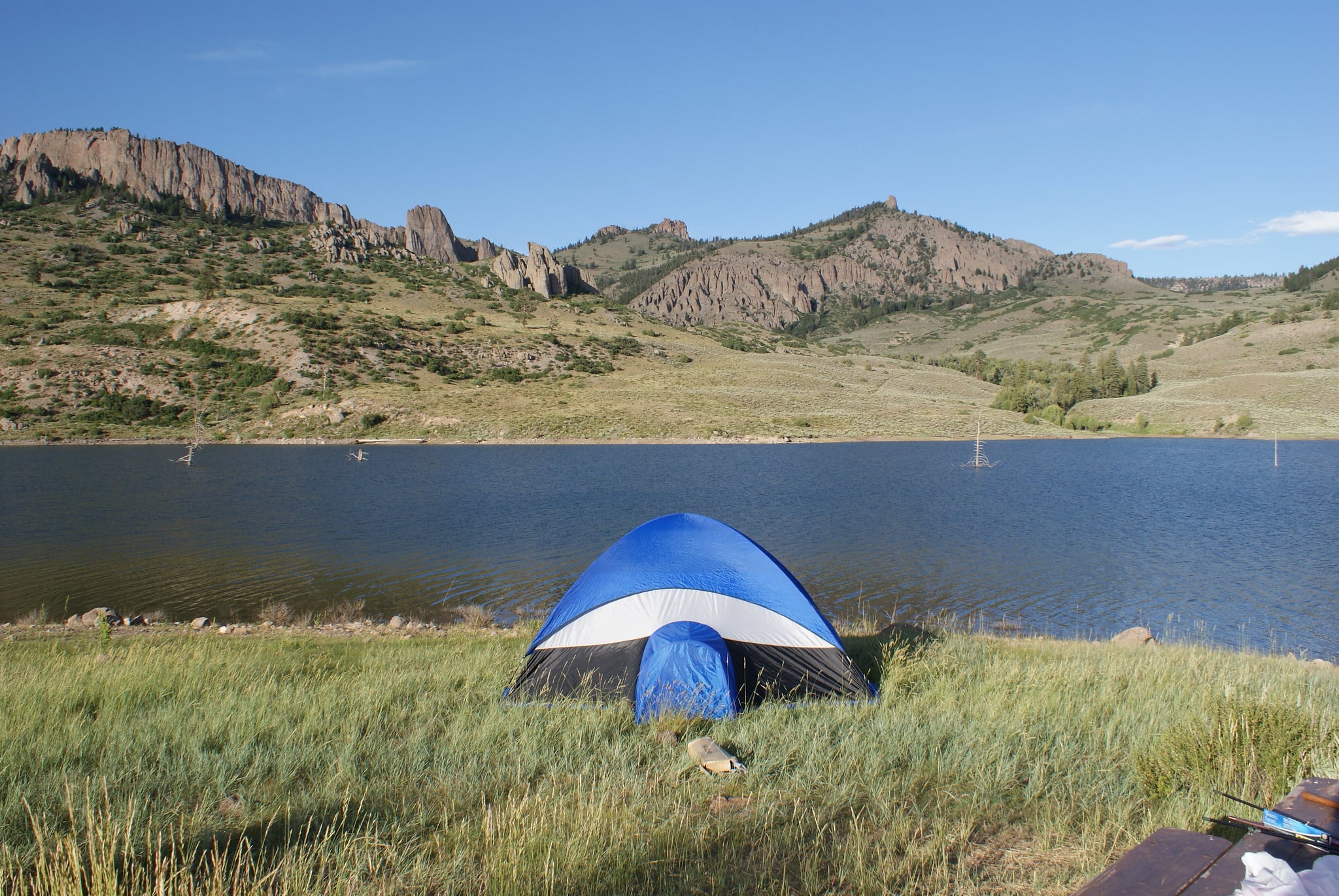 Blue tent in tall green grass on the shore of a lake