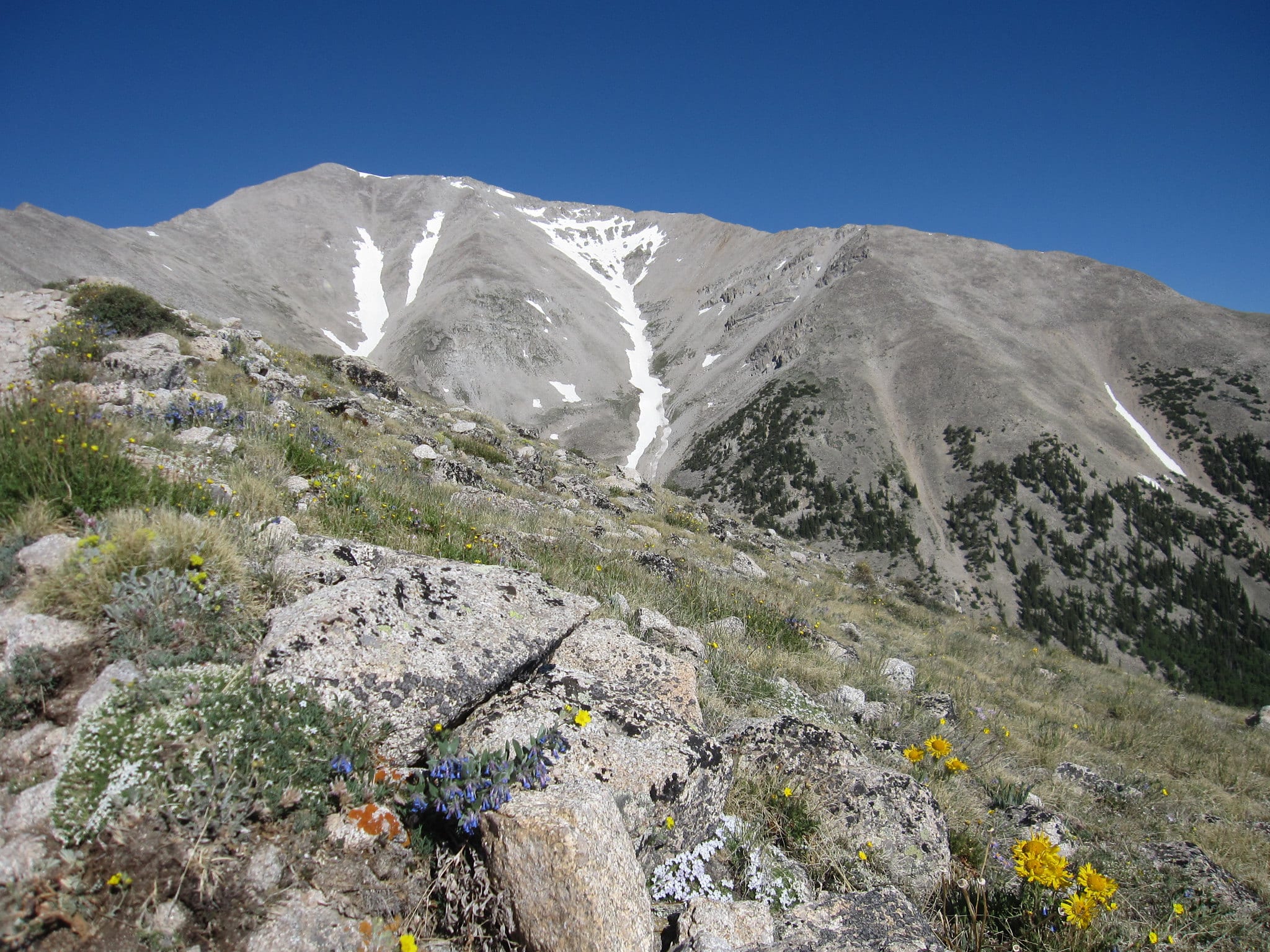 Rocky terrain at the top of a 14er on a sunny day