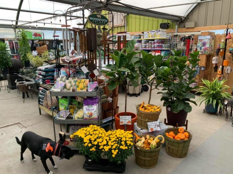 Hilltop Gardens & Farm Market Federal Heights, CO