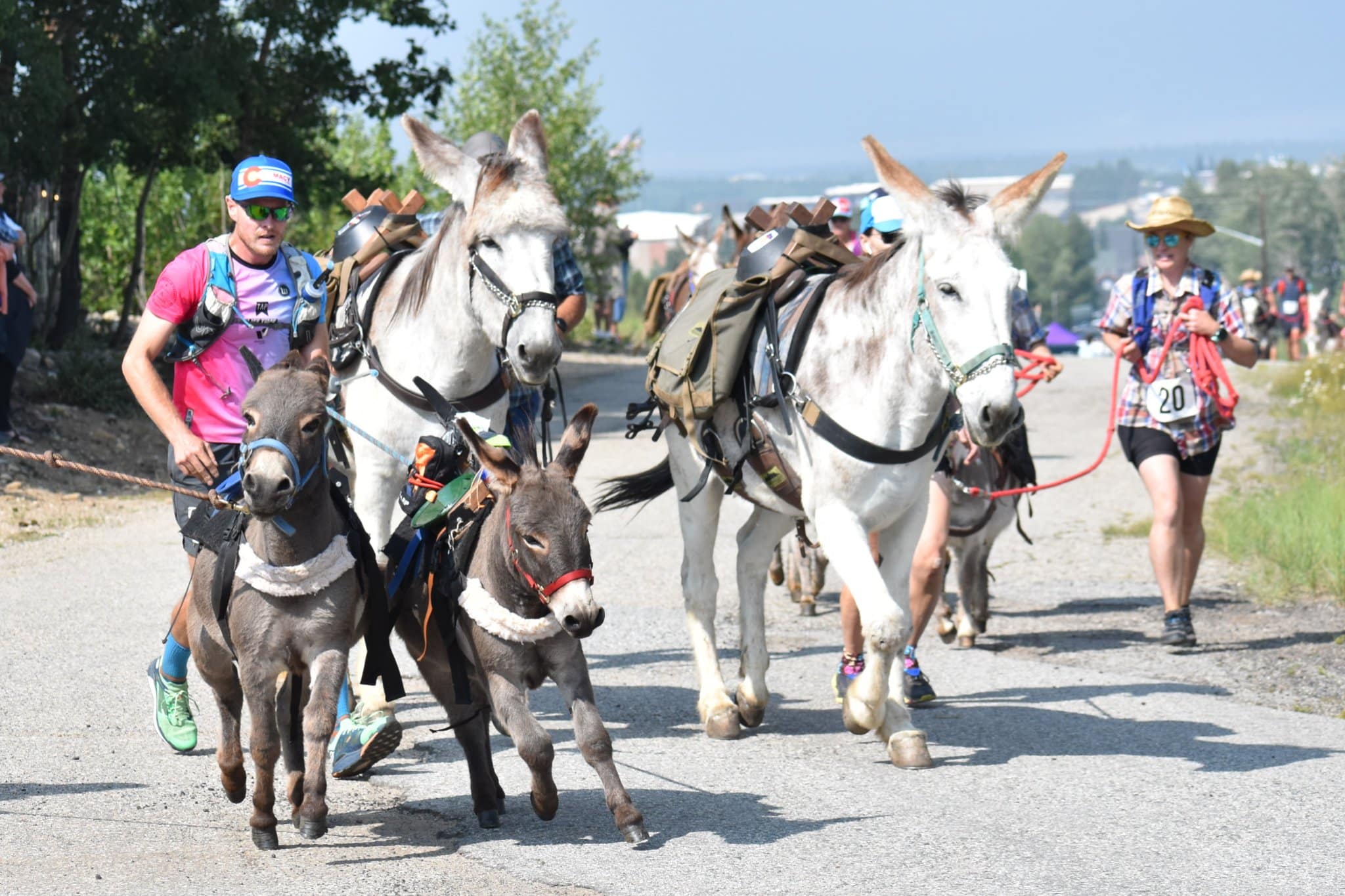 Donkey racing 