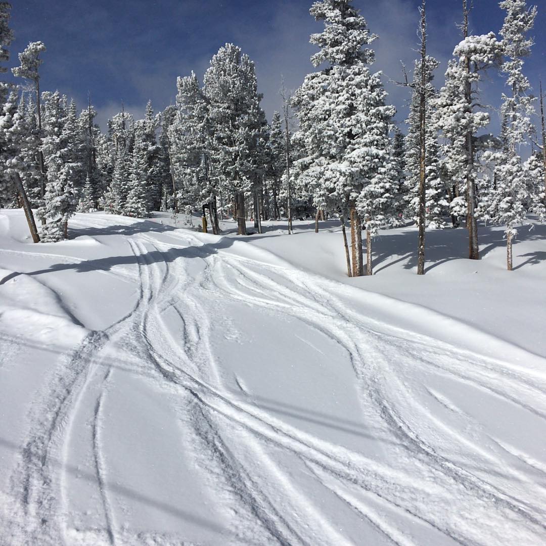 Fresh lines carved by skiers and snowboarders at Eldora Mountain Resort Colorado