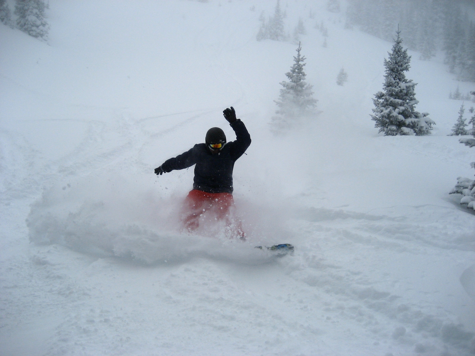 Snowboader in fresh snow with Monarch Cat Skiing Colorado