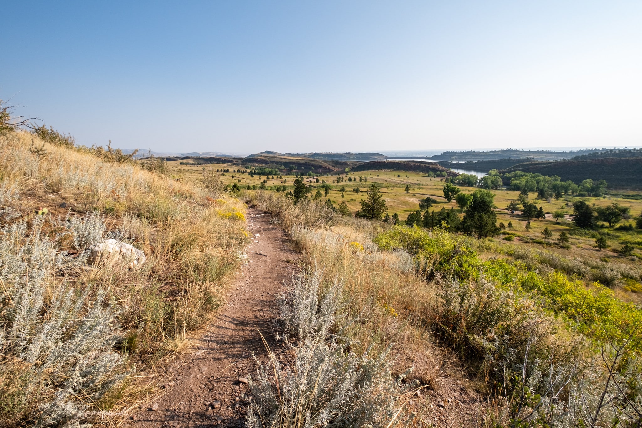 Hiking trail through a field