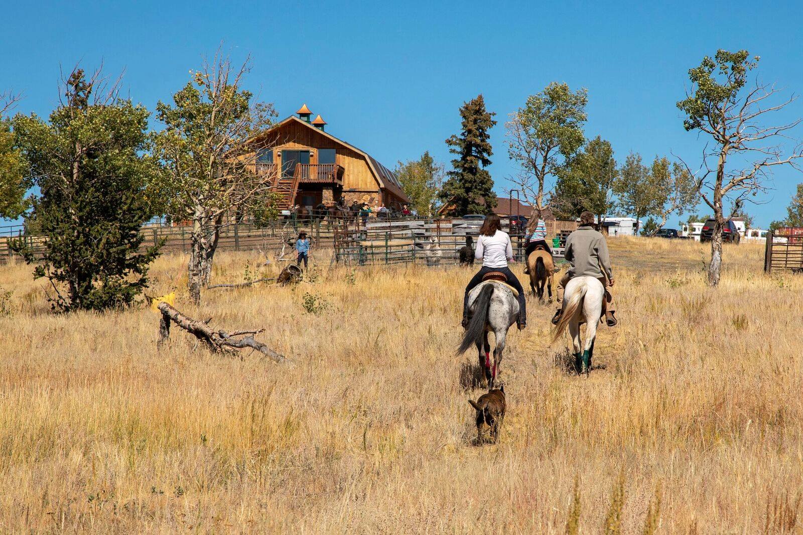 Grey Wolf Resort in Victor, CO