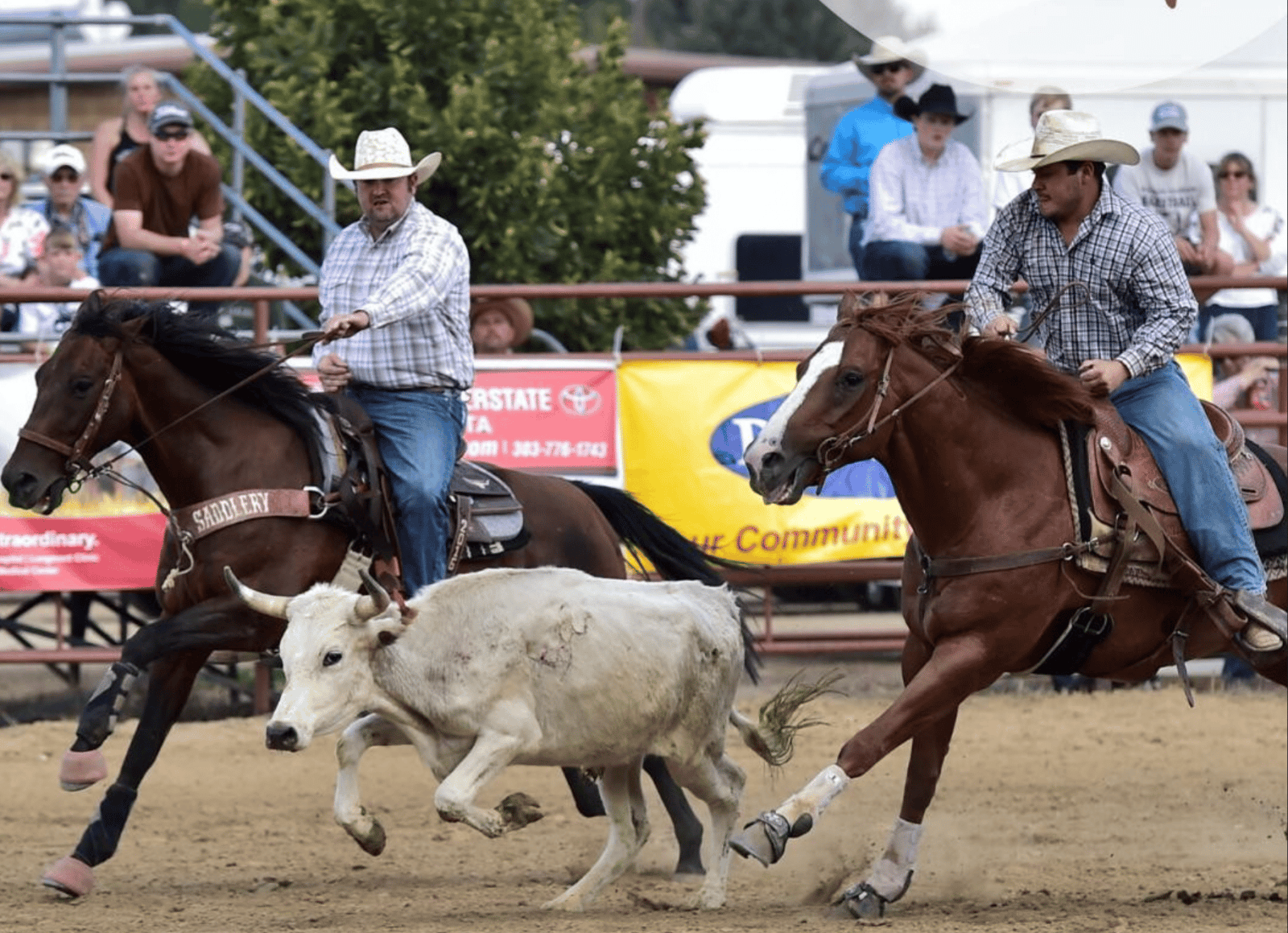 15 Summer County Fairs in Colorado