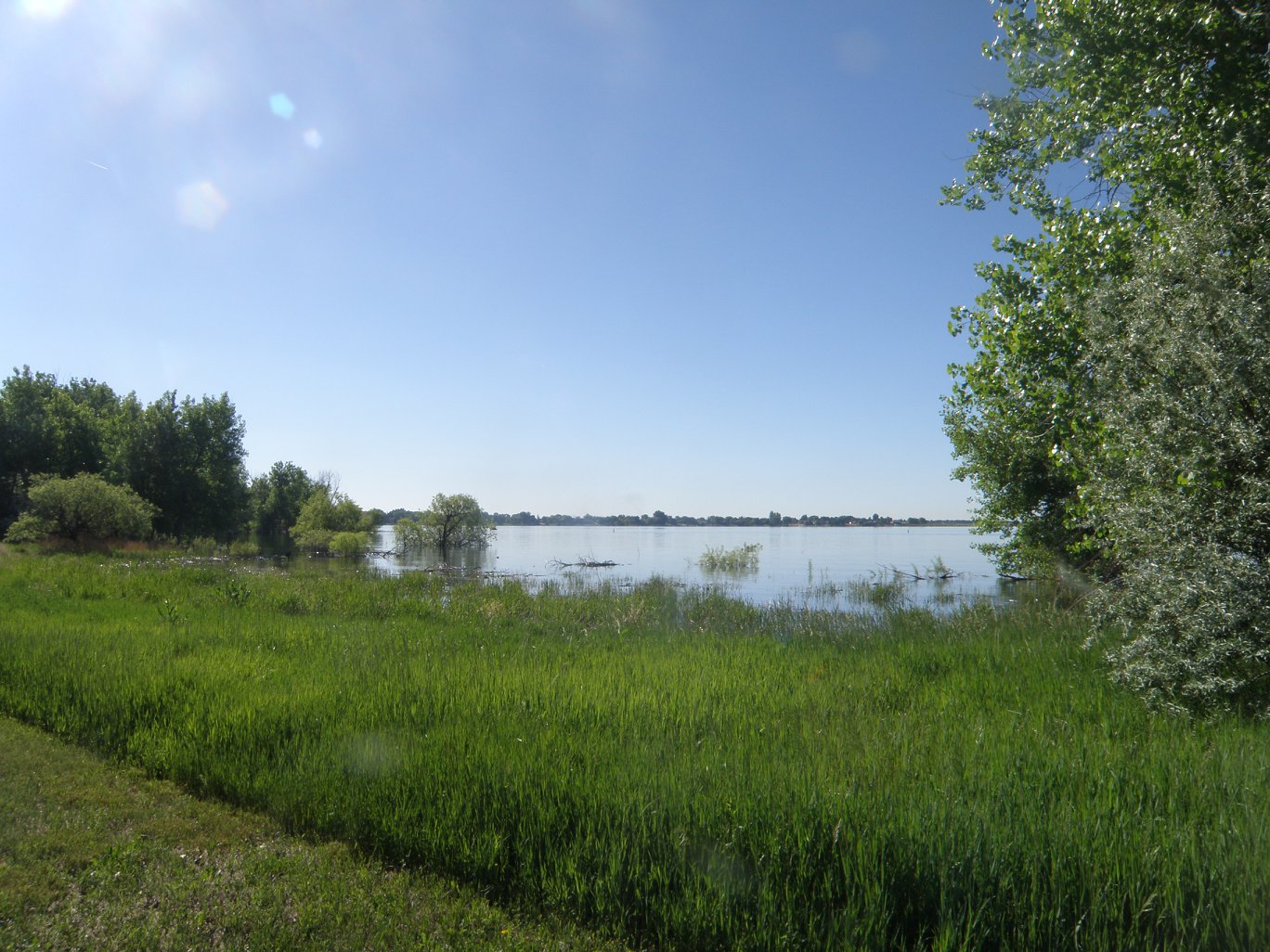 Clear blue skies over a lake