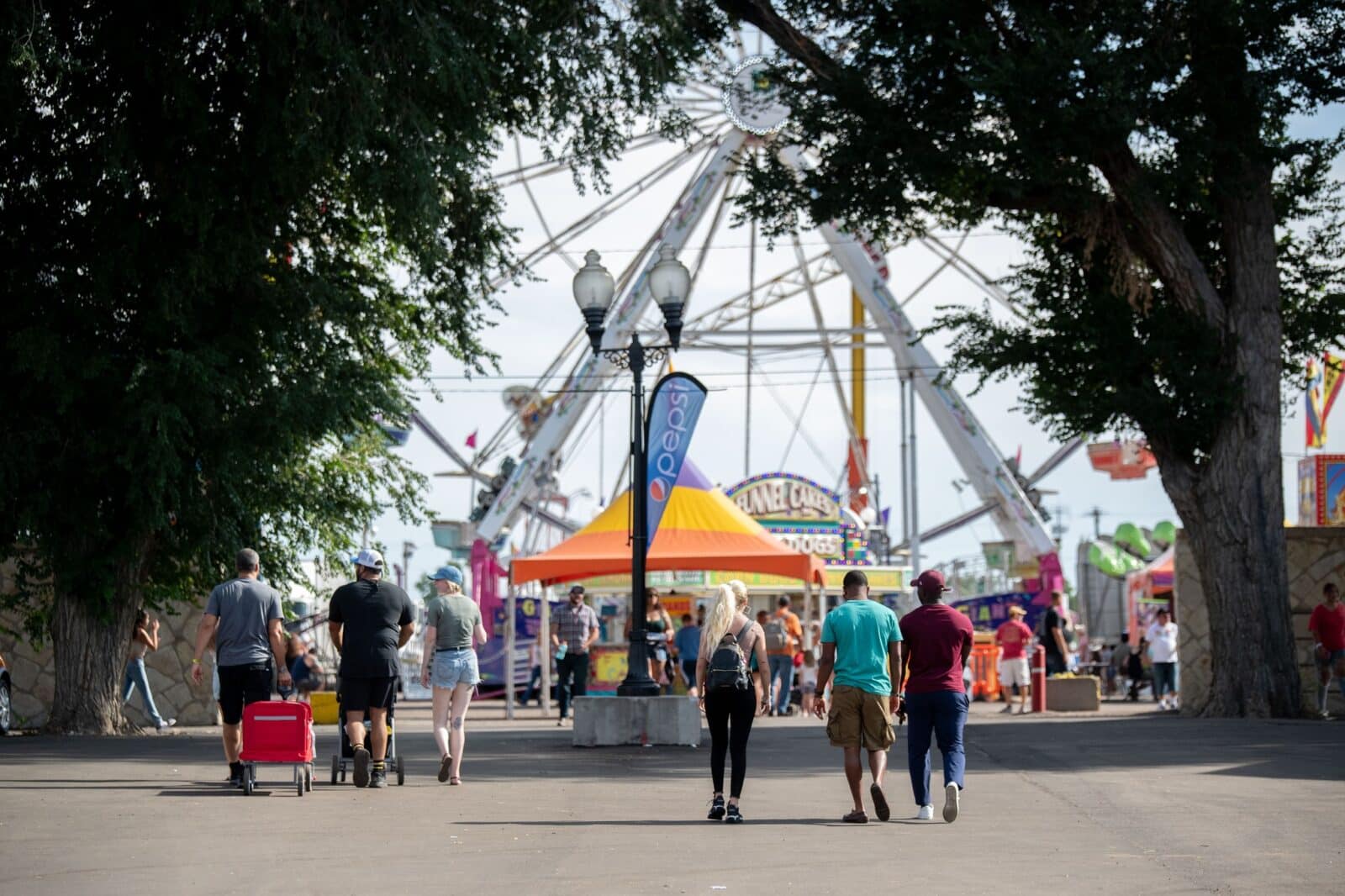 Colorado County Fairs 2024 Tedra Genovera