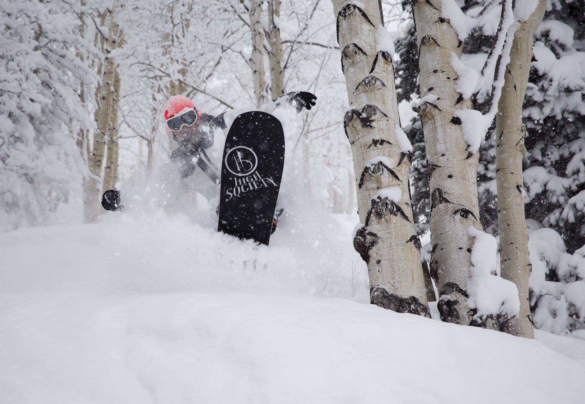 Snowboarder dengan helm oranye cerah berbelok di antara hutan aspen di salju tebal di atas papan seluncur High Society