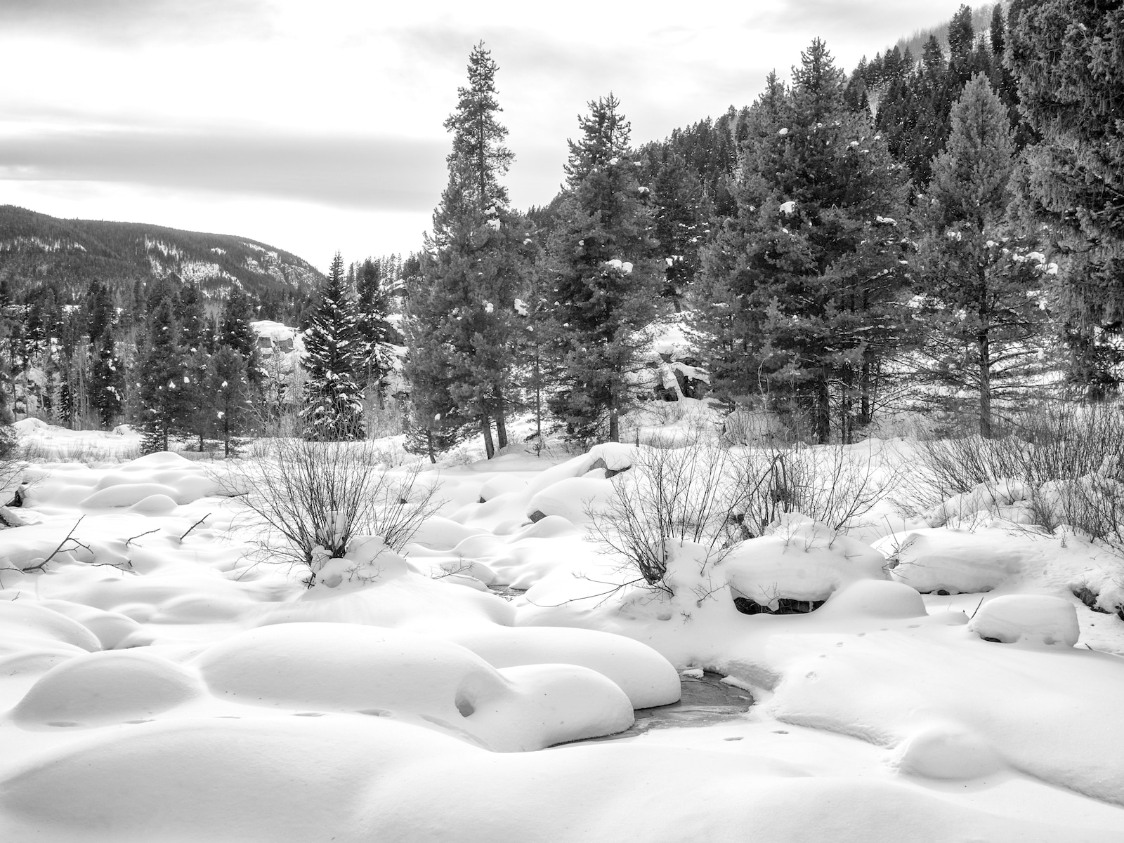 Snowy scene in Maloit Park, Colorado