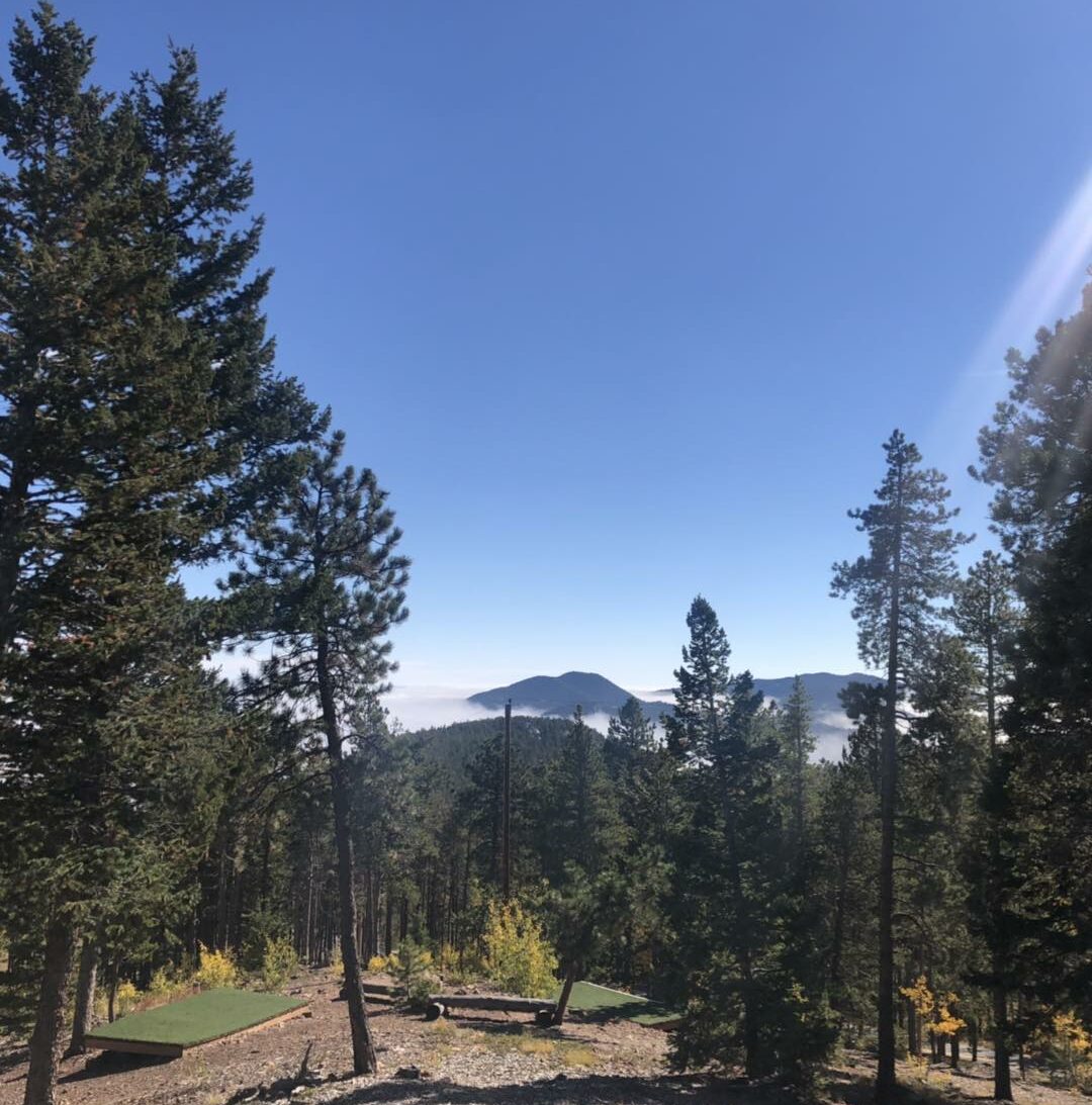 Disc golf course in high-elevation forest