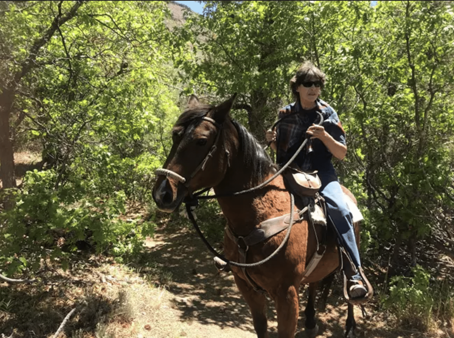 Person riding a horse on a densely wooded path at Curecanti National Recreation Area near Blue Mesa Reservoir