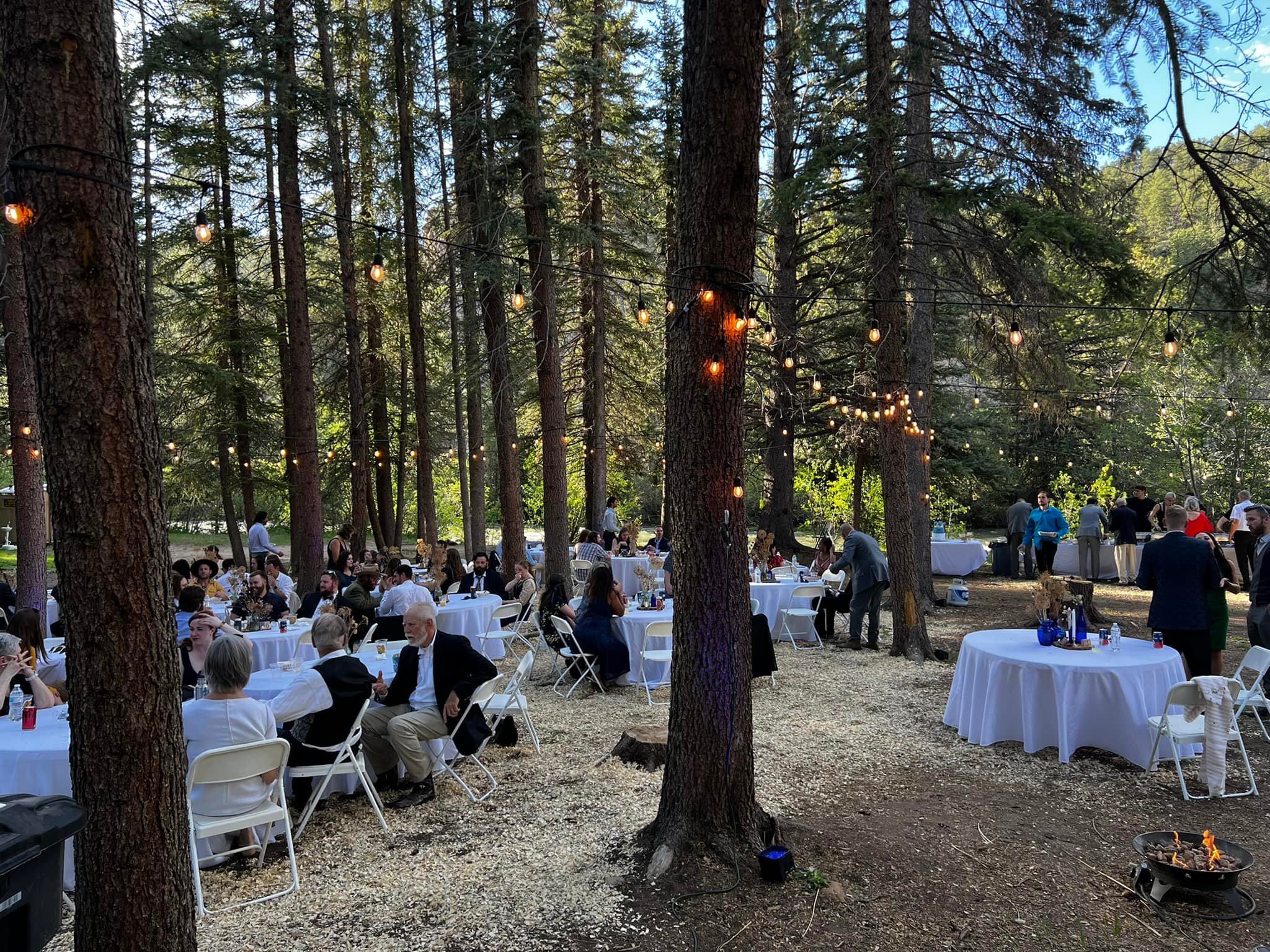 Outdoor wedding reception among trees at Glen Isle Resort. A lot of white round tables with people sitting and chatting