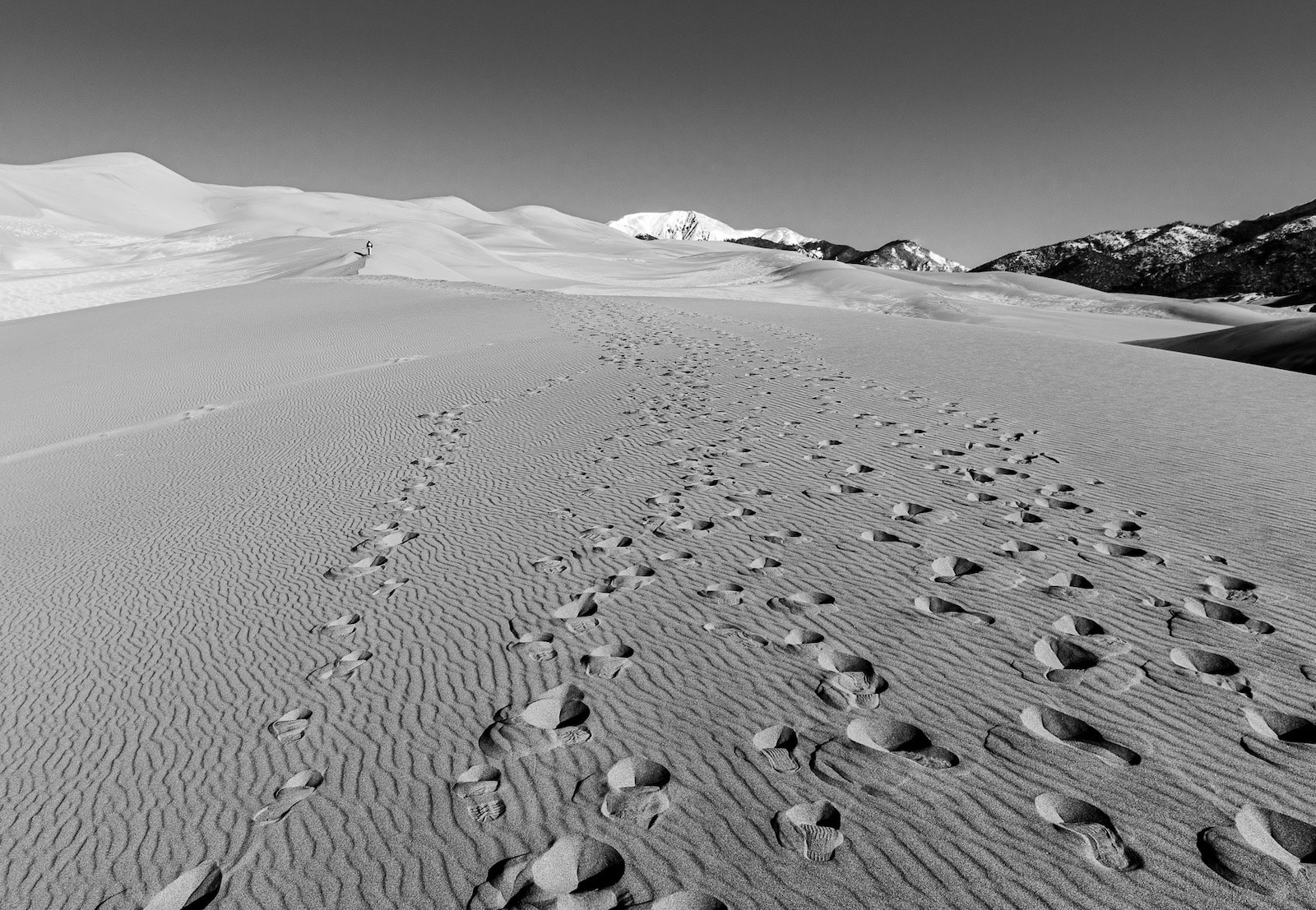 Tracks in the sand at the Great Sand Dunes National Park in Colorado