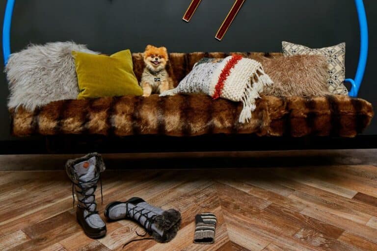 Moxy Denver Cherry Creek CO 3Star Boutique Hotel