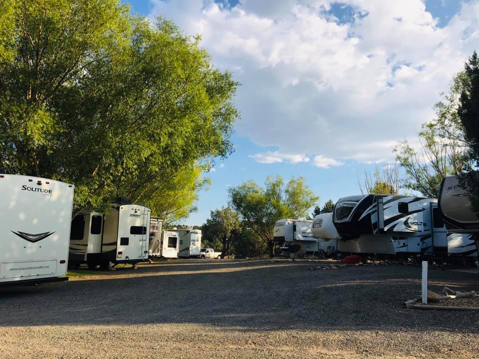 Navajo Lake Resort RV Park on a sunny day with big green trees and a lot of RVs parked