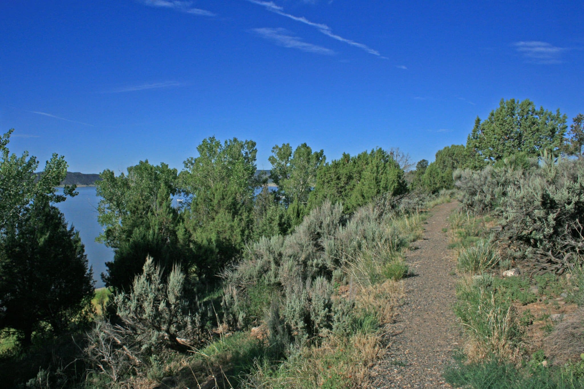 Small dirt hiking path in green brush next to Navajo Reservoir