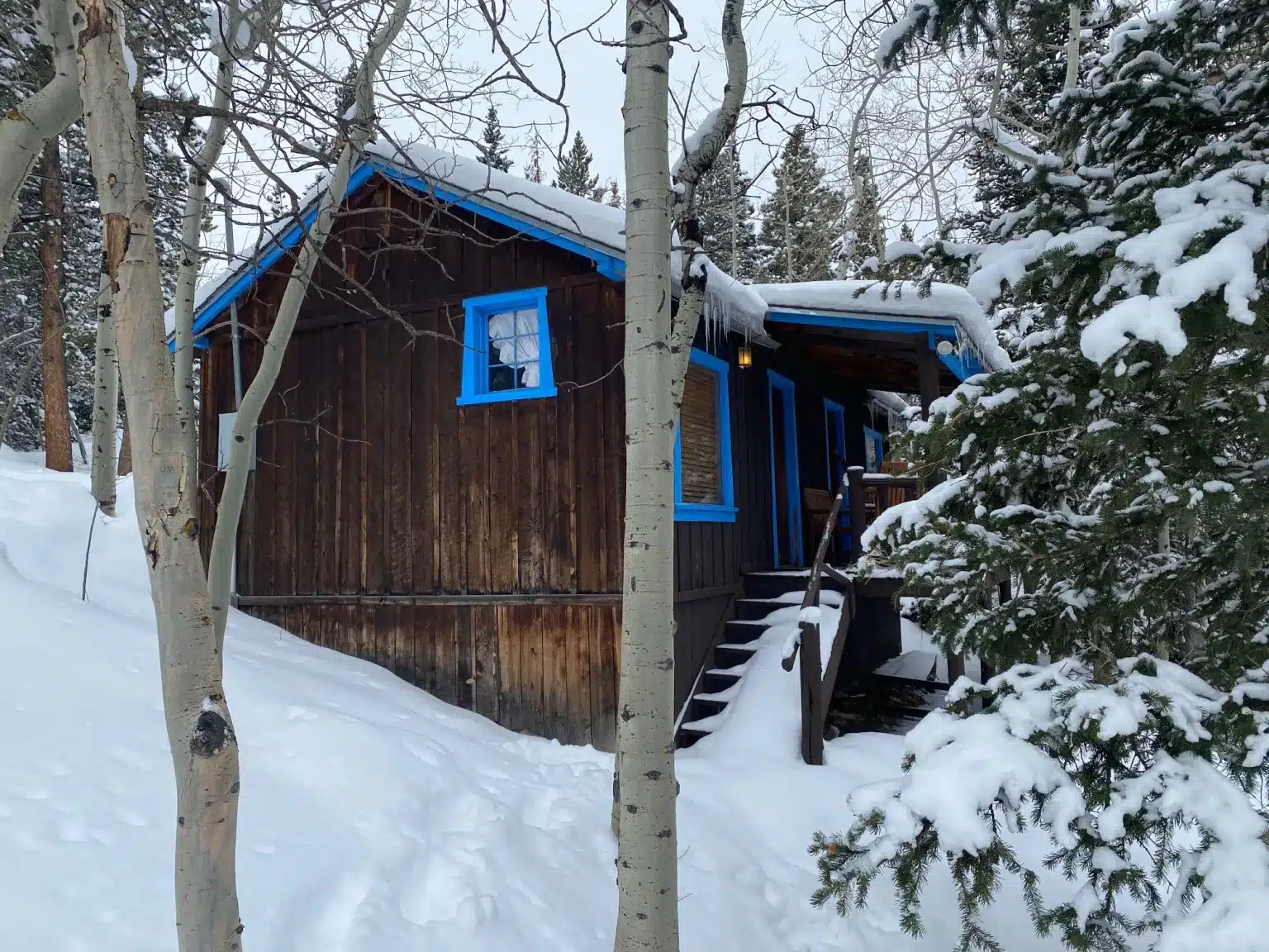 Dark wood cabin with blue trimming in a very snowy forest at Seven Keys Lodge