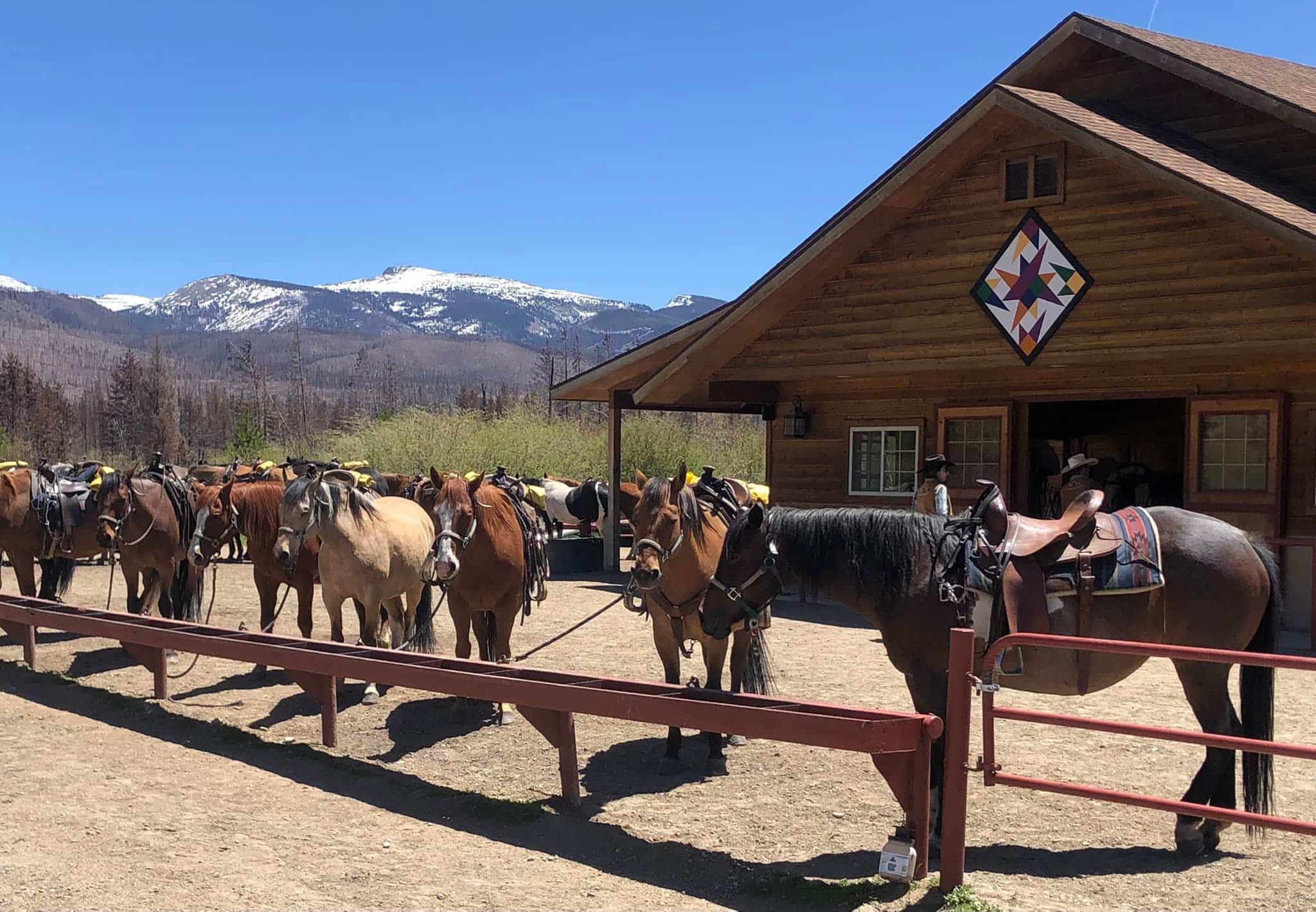 Horses in their stable at Winding River Resort in Grand Lake, Grand Lake, Colorado