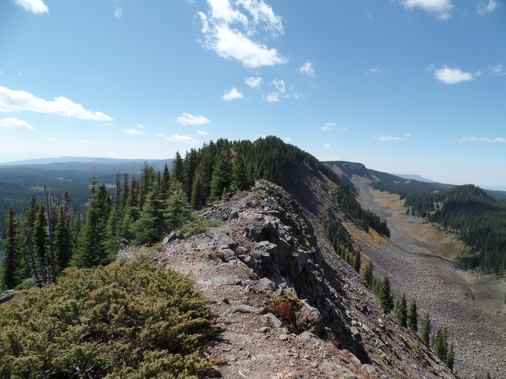 View of Crag Crest Trail. The pictured section is a rocky trail following a ridge with green trees on either side and blue skies