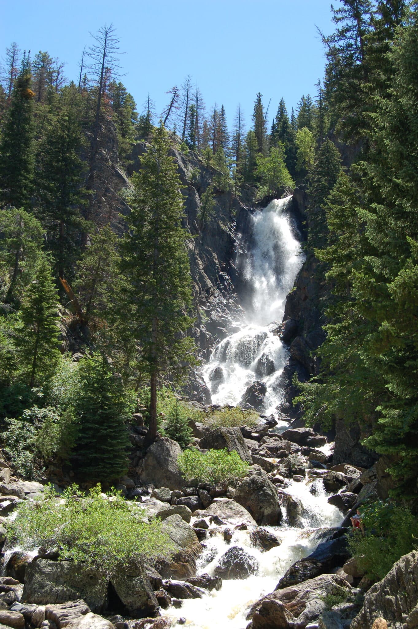 Fish Creek Falls waterfall surrounded by green forest