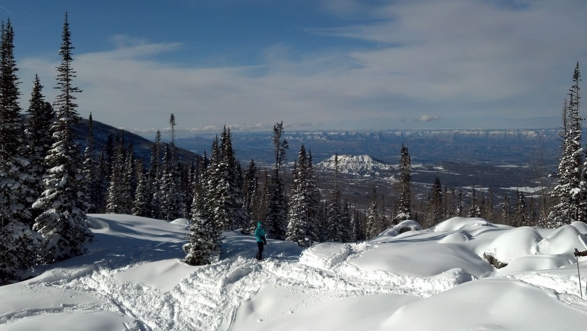 Fresh snow powder with ski marks and footprints among snow-dusted evergreen trees at Powerhorn Mountain Resort