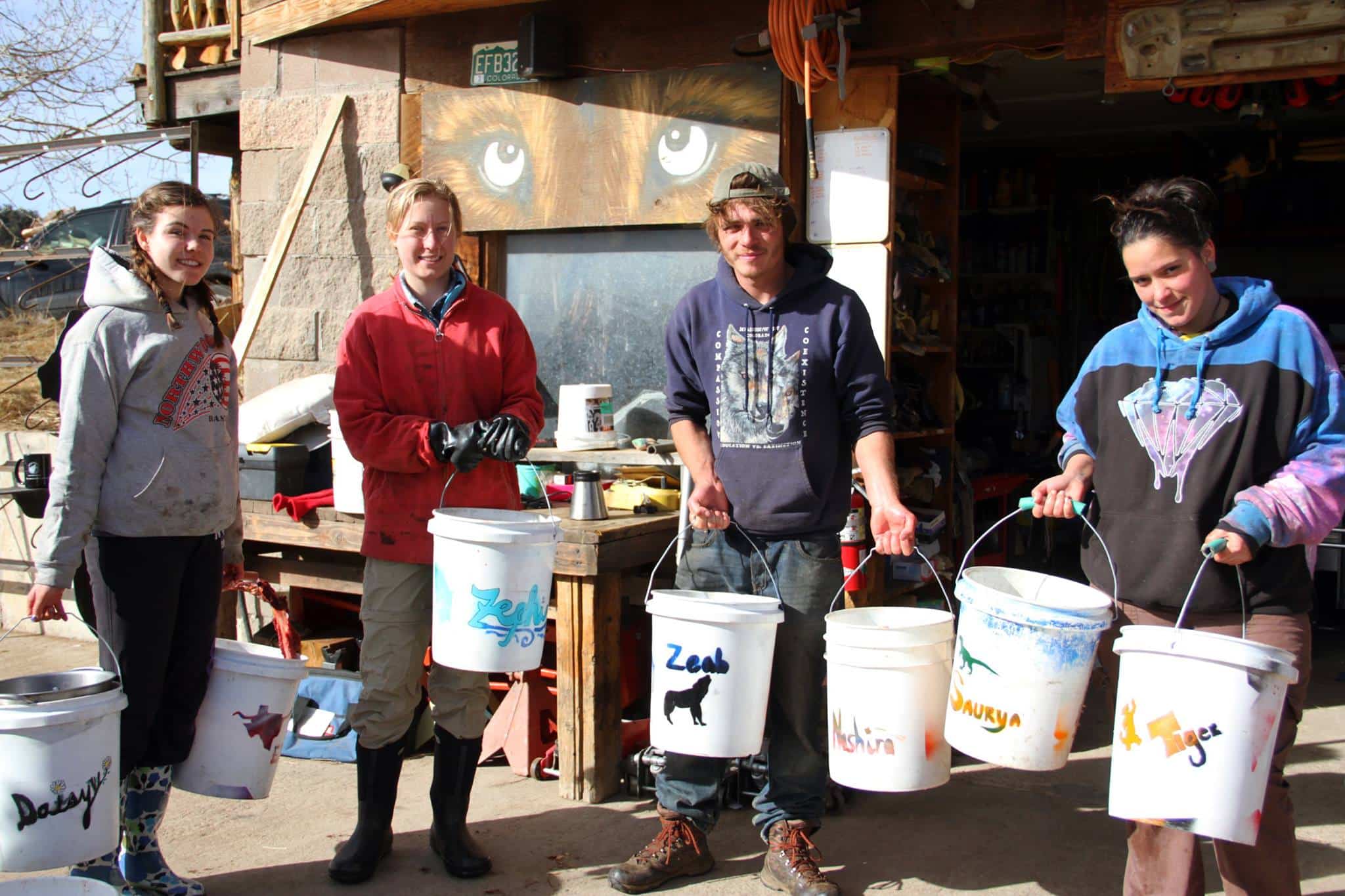 Volunteers hold up feed buckets at Mission: Wolf in Westcliffe, Colorado