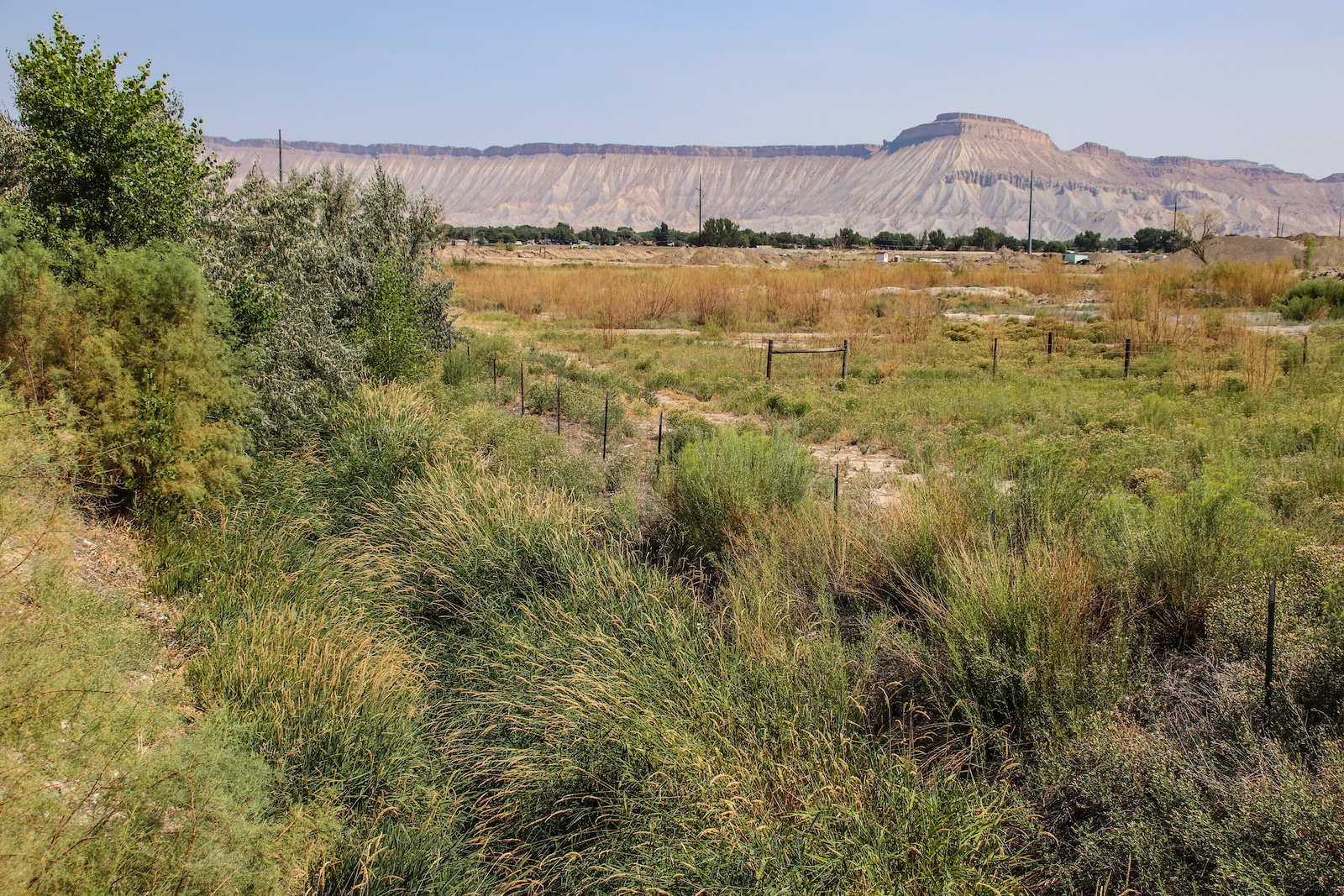 Mount Garfield in the distance, Mesa, Colorado