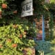 downtown Niwot, Colorado with charming storefronts