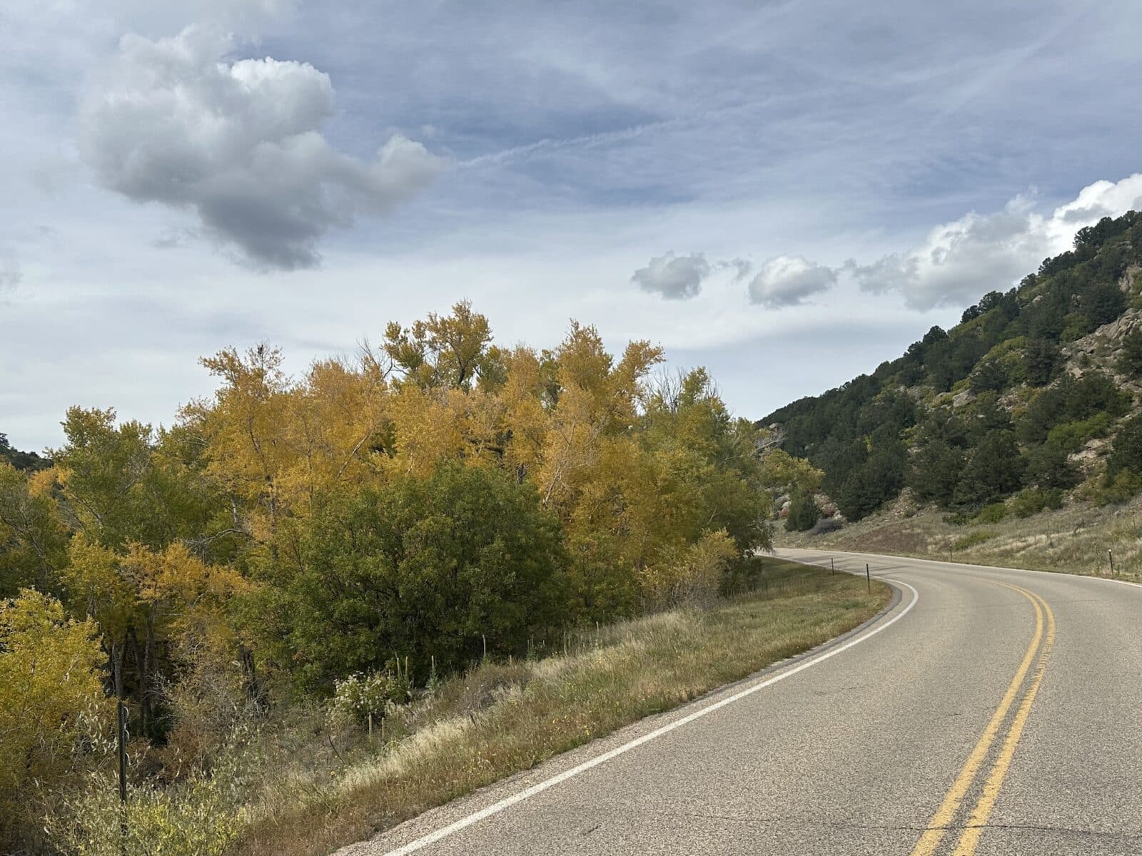 yellow leaves on trees beside the highway in central Colorado