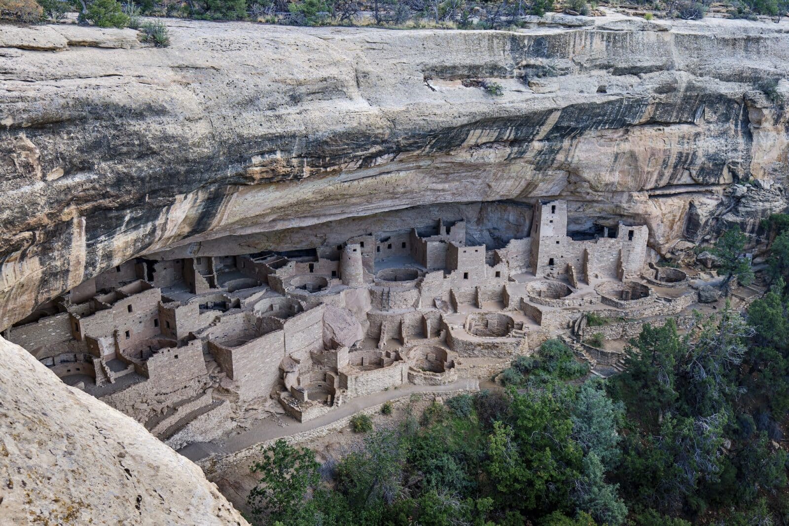 overlooking Cliff Palace in Southwest Colorado