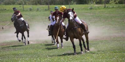 Denvereux Polo players compete