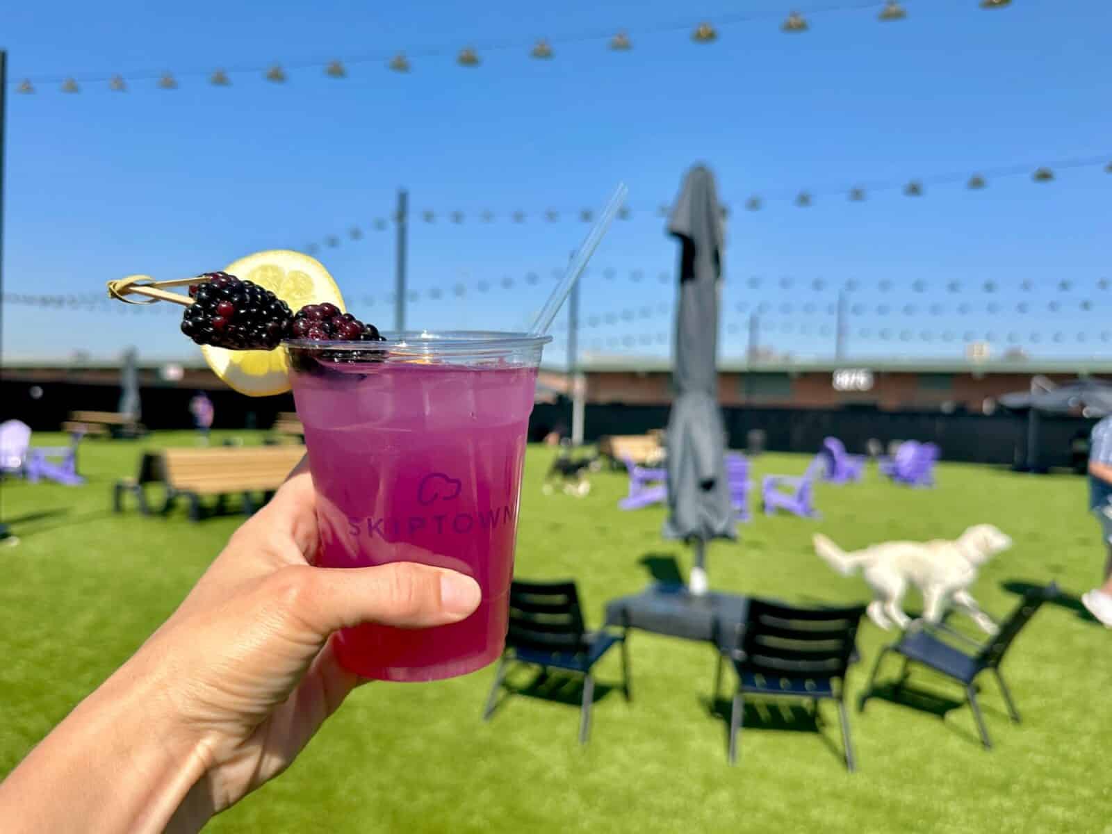 hand holding up a cocktail at the outdoor dog park at Skiptown in RiNo Denver