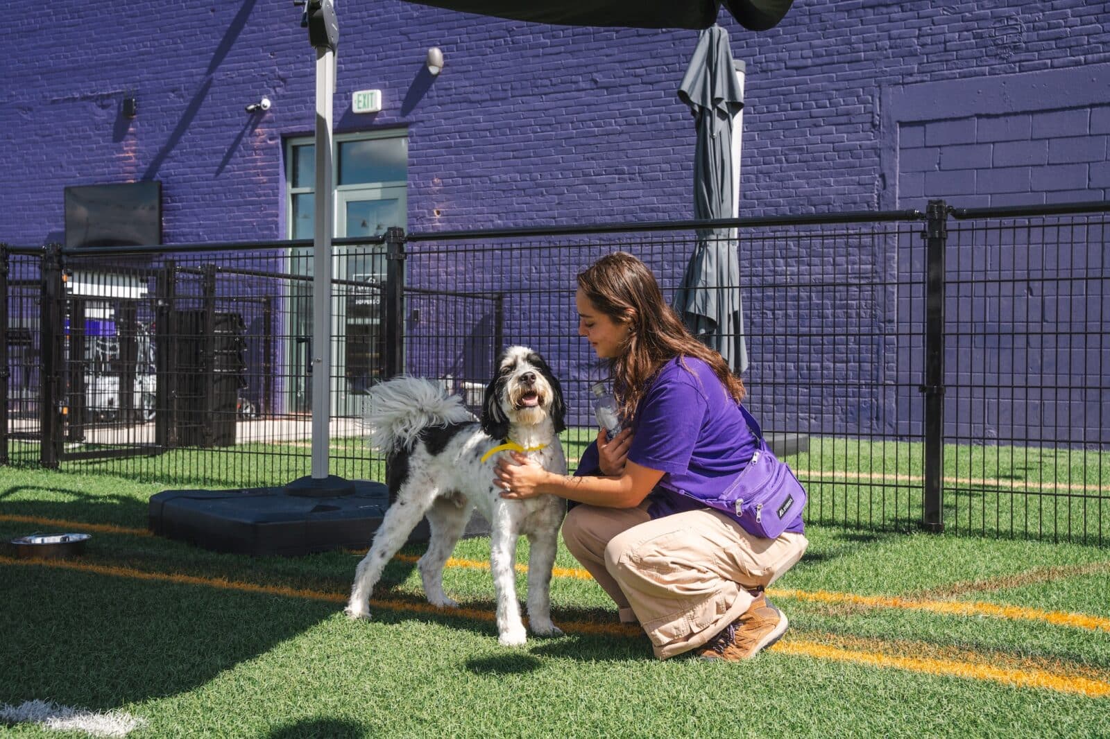 A skipper and dog at Skiptown Rino in Denver