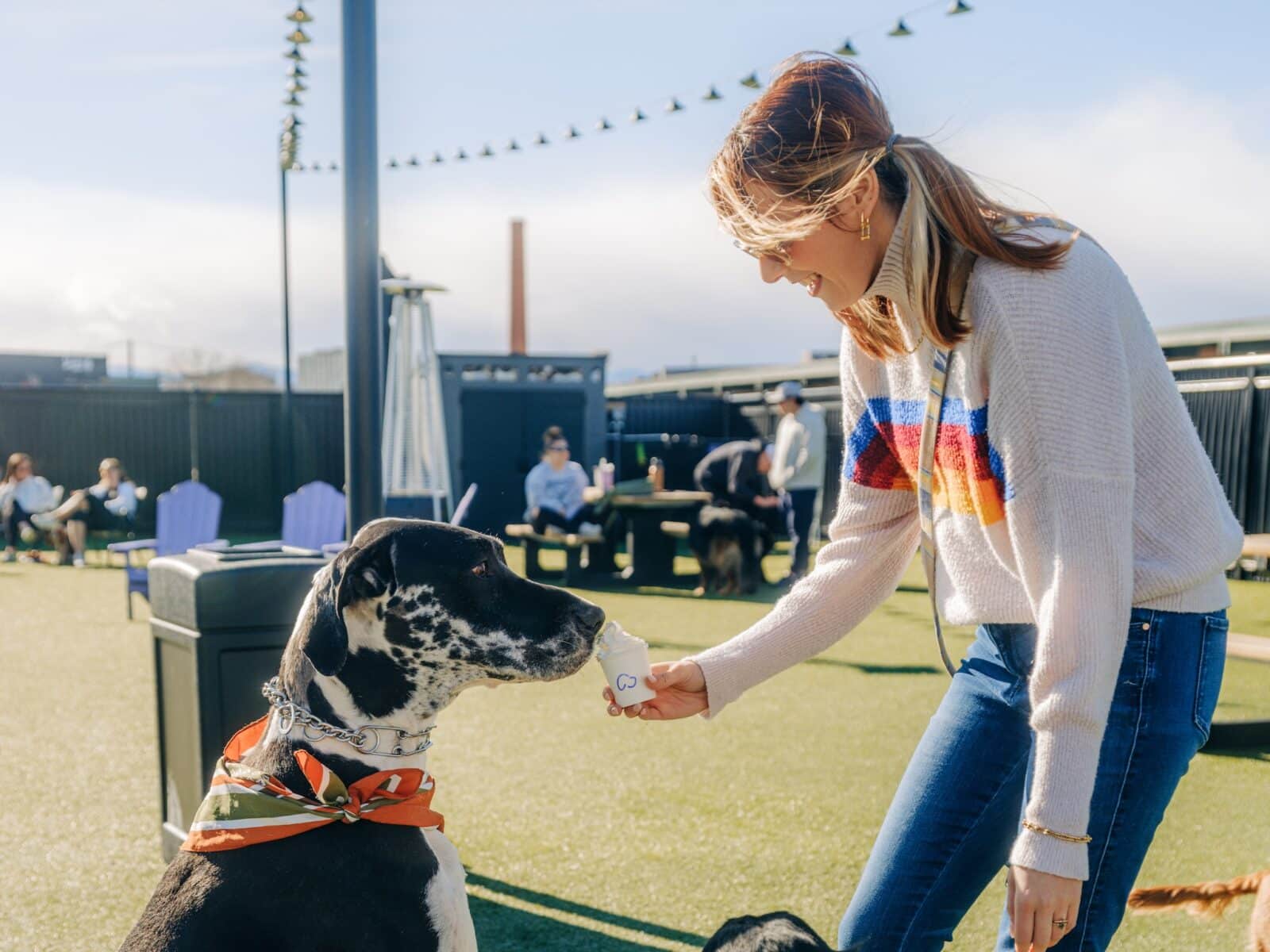 a woman feeds her dog a pup cup treat at Skiptown in Denver