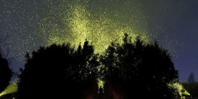 painting of night sky
