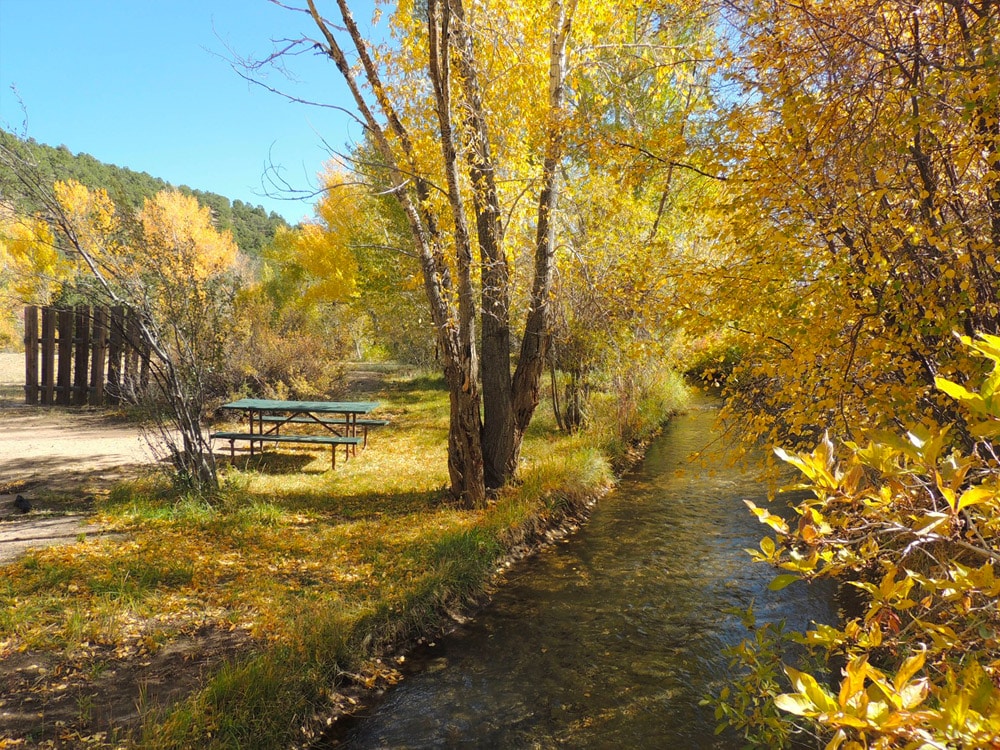 Empty tent campsites beside a creek with yellow fall colors at A-Lodge-Salida