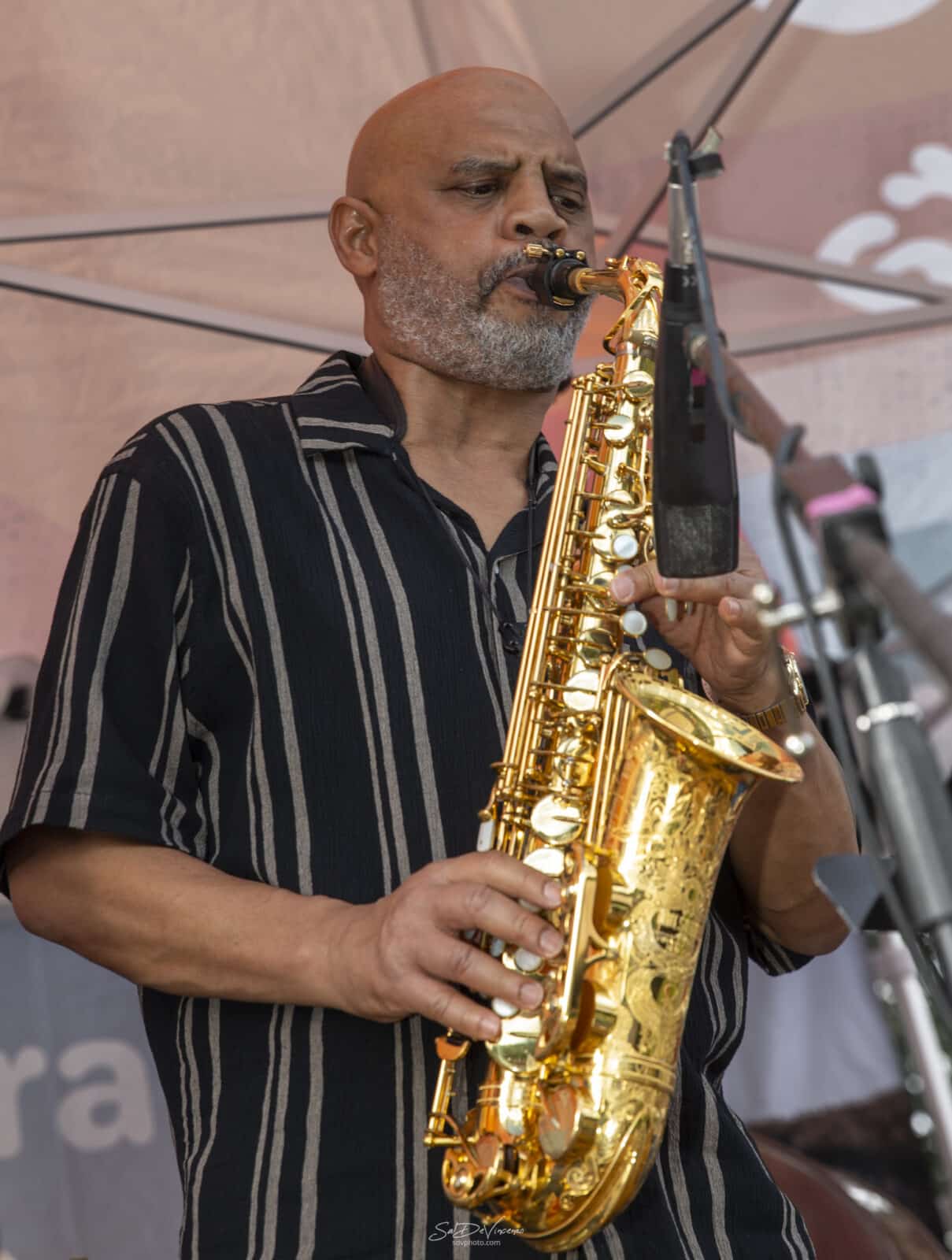 man play saxophone on stage at Nederland Jazz & Wine Festival