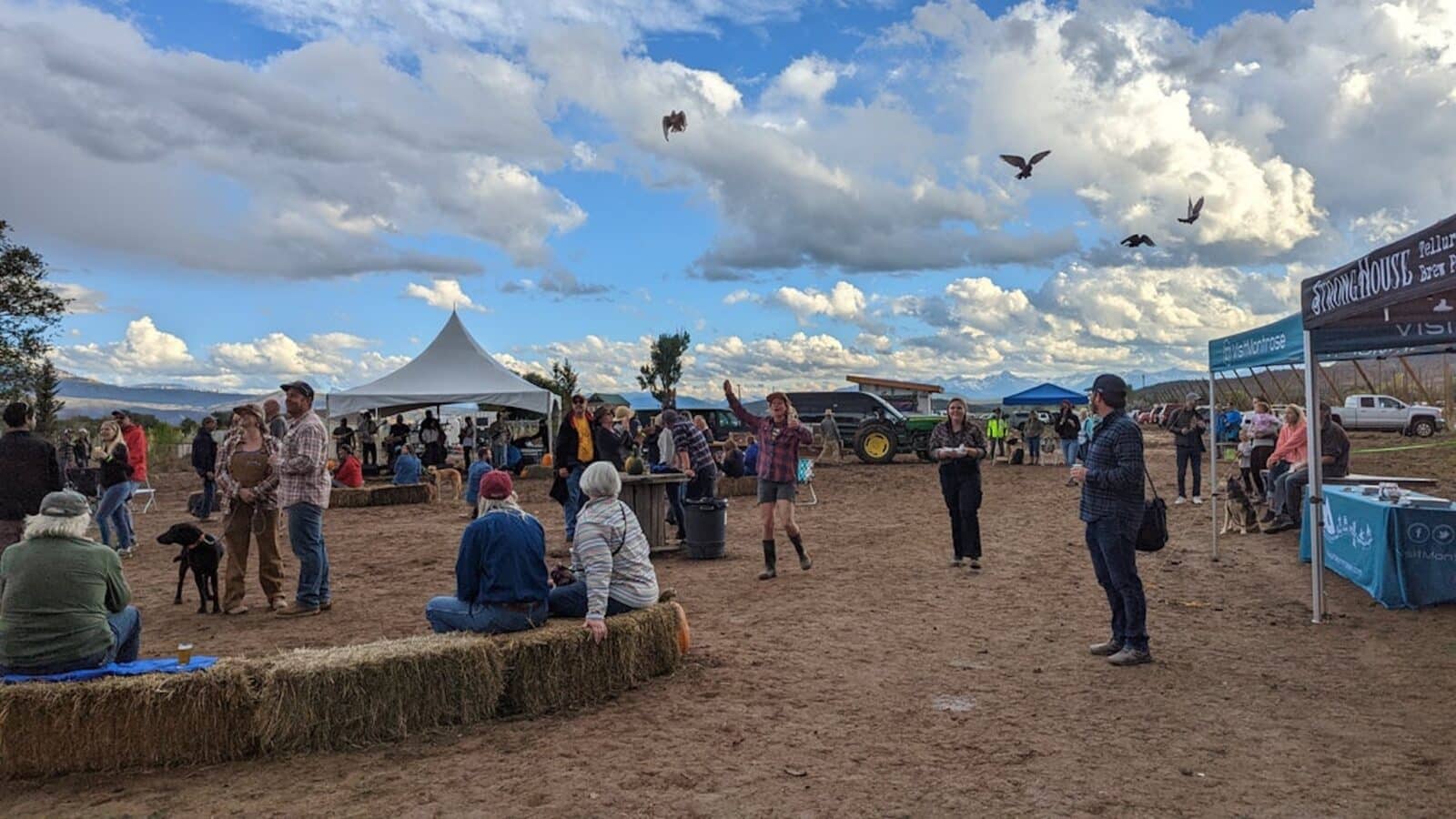 crowd of people reacts to birds flying overhead at the Southwest Fresh Fest in Colorado