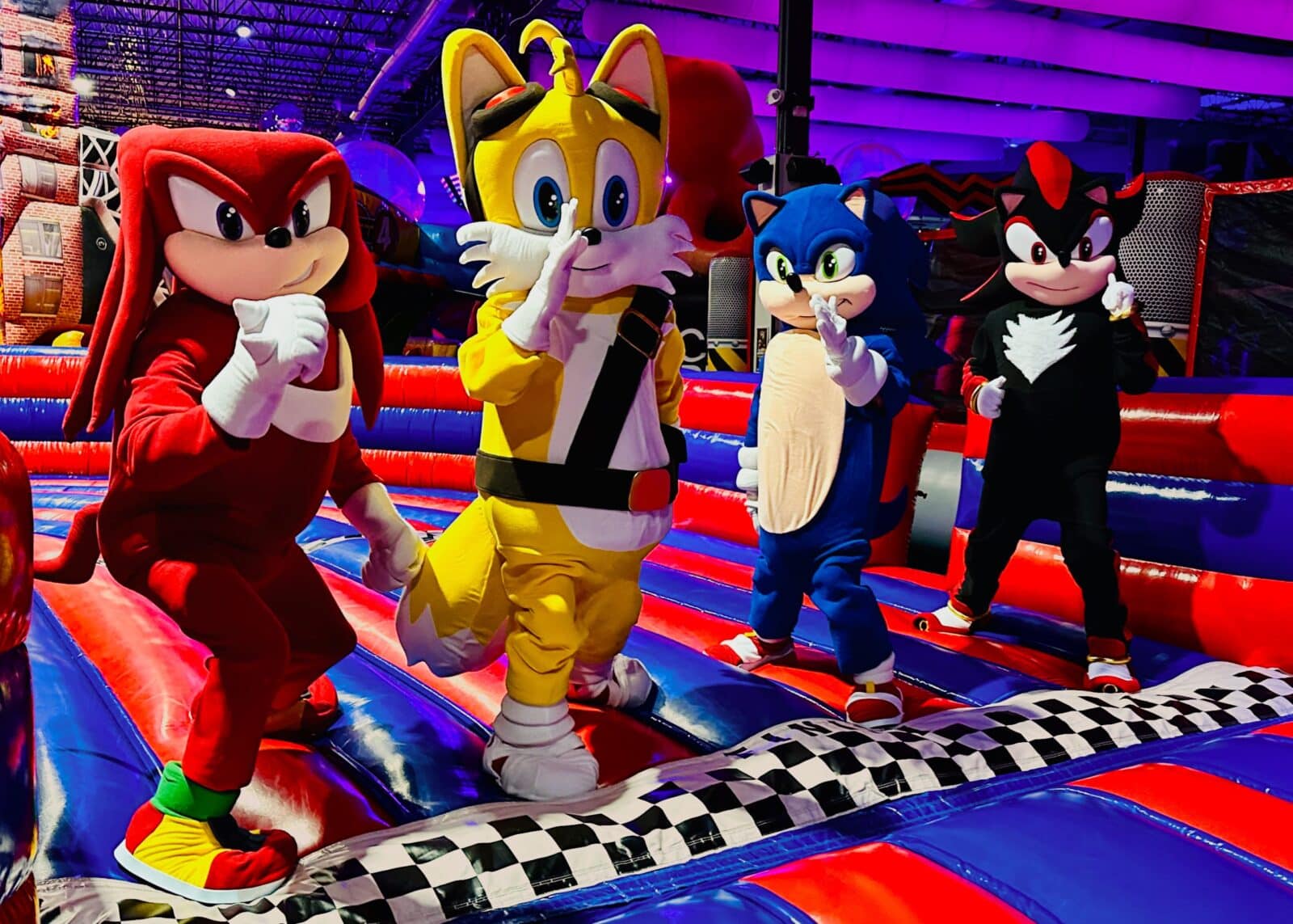 Knuckles, Tails, Sonic, and Shadow bounce on inflatable at Bounce Empire in Lafayette