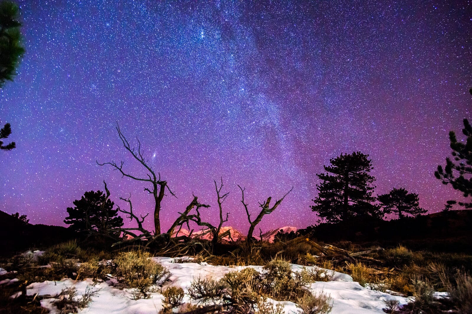 view of pink and blue night sky with stars at Rocky Mountain National Park