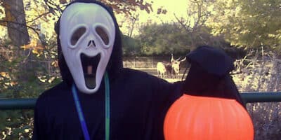 person in Scream costume holds up a pumpkin trick-or-treat bucket at the Denver Zoo