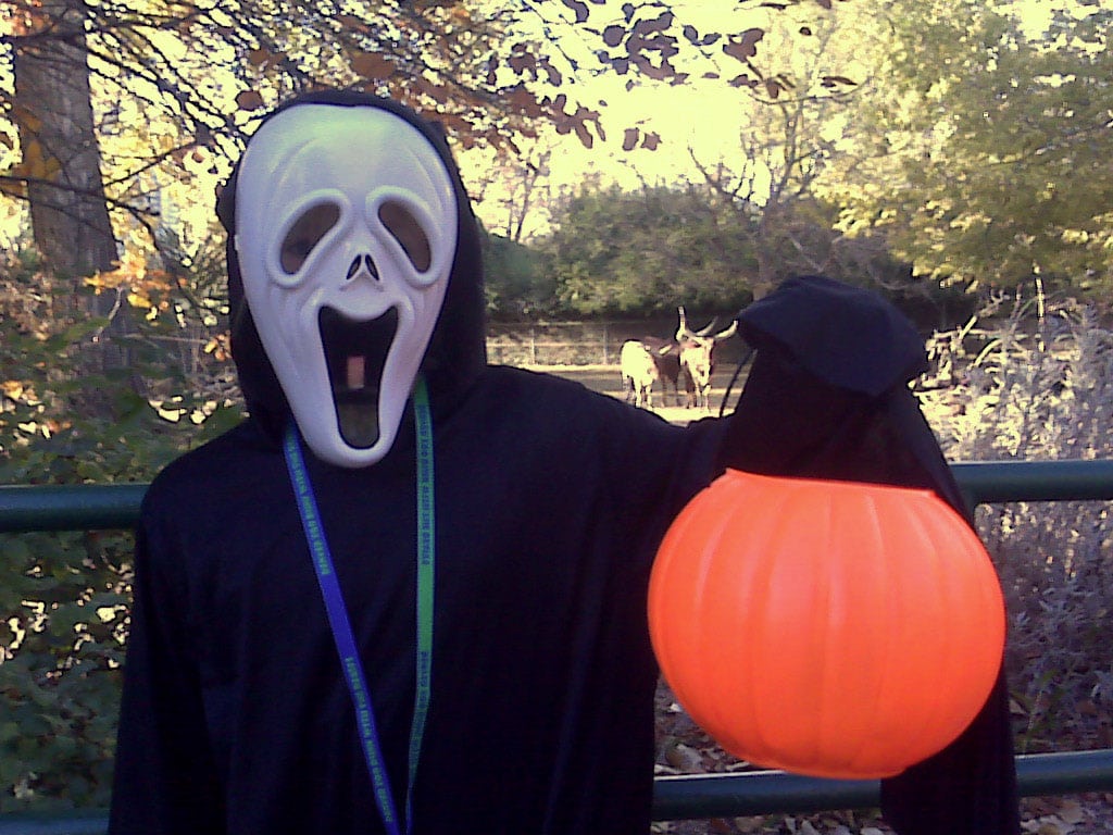 Boo at the Zoo at the Denver Zoo. Photo by: <a href="https://flickr.com/photos/the-consortium/3128099029/in/photolist-5LqjRT-5LqjvT-5LuyP1-6ZJag-6ZHTe-6ZJ6Z-6ZJby-6ZJ8A-6ZHTS-6ZJ4y-6ZHUr-6ZJbe-6ZJaQ-6ZJ5R-6ZHPF-6ZJ55-6ZHWT-6ZJ21-6ZHSz-6ZJ9y-6ZJ86-6ZJ1i-6ZHZR-6ZJ2J-6ZHRc-6ZHXR-6ZHVe-6ZJ3W-6a4aNW-6ZHNx-69YWMT-MM8a53-NFGvLC-MM8eBu-NB9dHx-MM8cxj-NFGubJ-MM8mGm-NFG7au-NyBjDf-NB99Vc-NFGbxY-NB98Bv-NB9bK4-5wDP32-5wJajW" target="_blank" rel="nofollow noopener">Dave & Margie Hill</a>