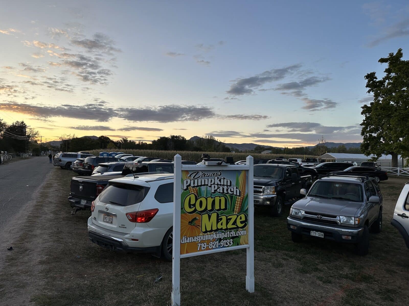 Diana's Pumpkin Patch and Corn Maze