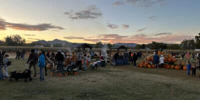 sunset over mountains behind Diana's Pumpkin Patch and Corn Maze