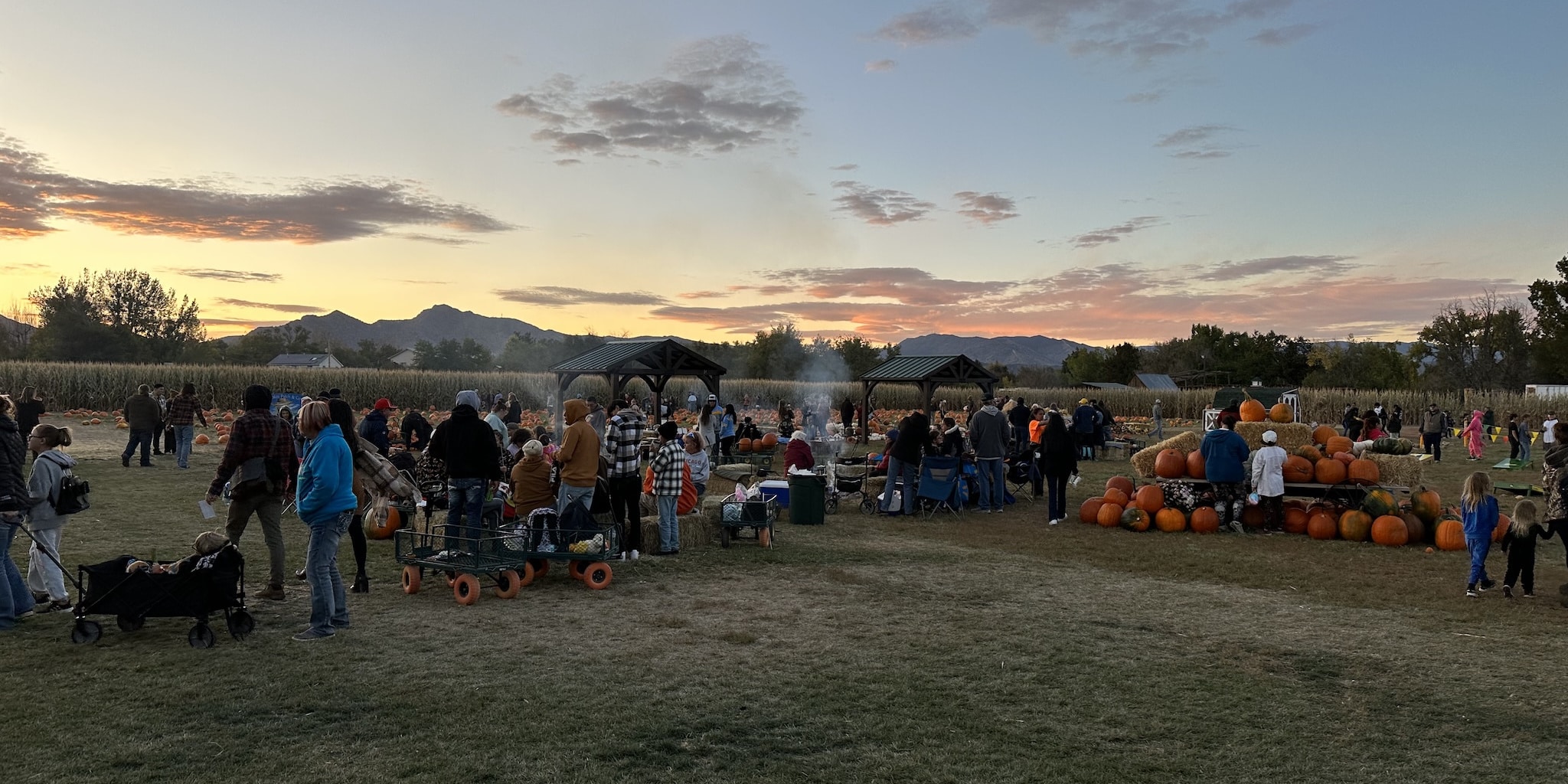 Diana's Pumpkin Patch & Corn Maze - Cañon City - Uncover Colorado