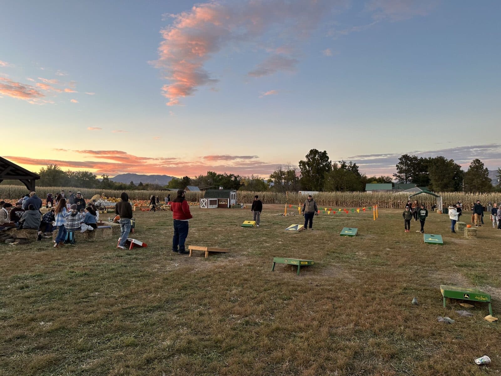 Diana's Pumpkin Patch and Corn Maze
