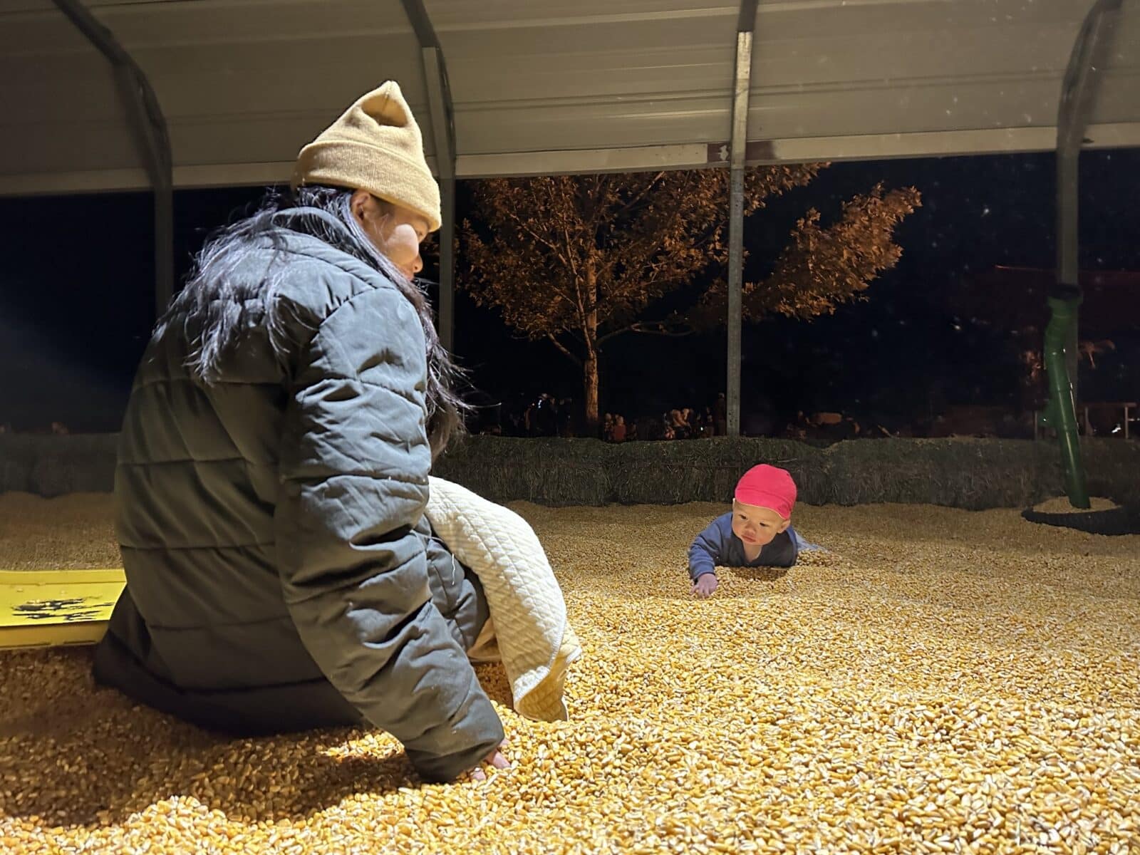 corn kernel pool at Diana's Pumpkin Patch and Corn Maze